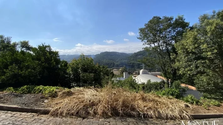 Ótimo posição Solar 