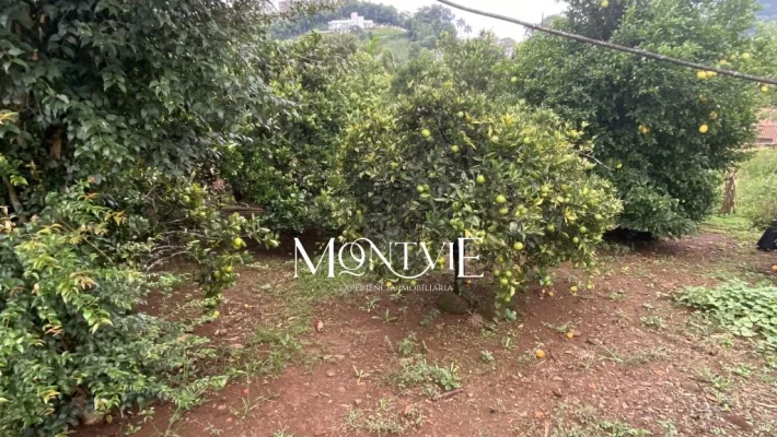 Terreno de esquina 