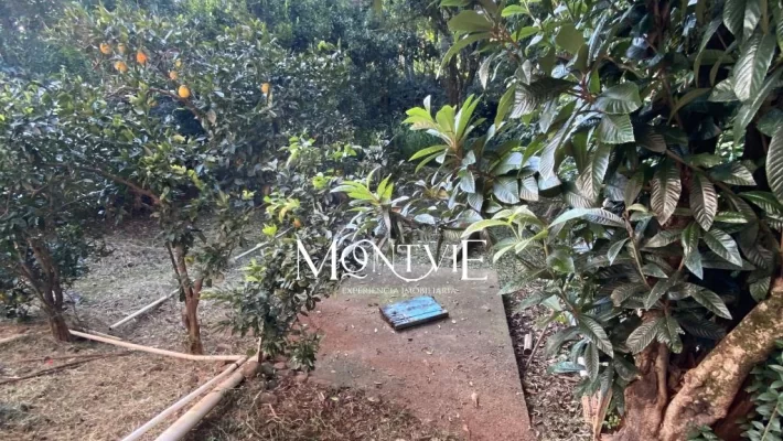 Próximo ao Parque Municipal