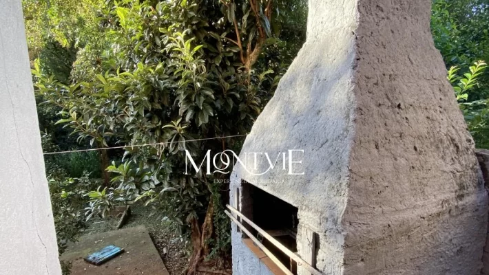 Próximo ao Parque Municipal