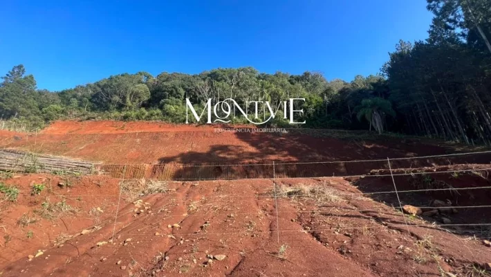Investimento e construção