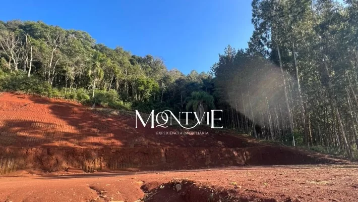 Investimento e construção