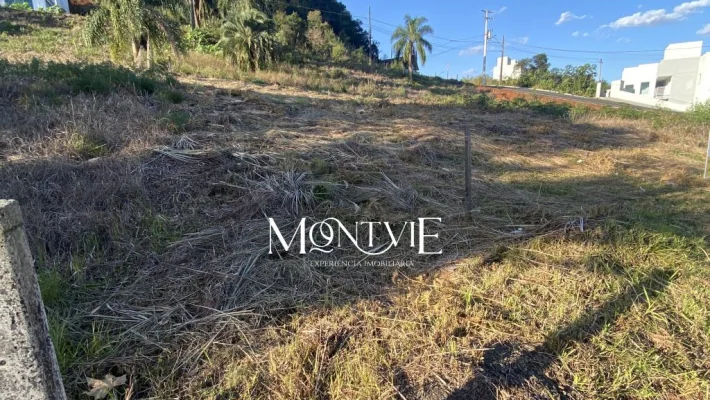 Oportunidade de Investimento