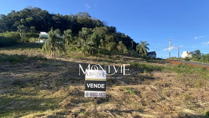 Oportunidade de Investimento